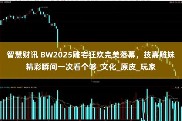 智慧财讯 BW2025雕宅狂欢完美落幕，技嘉雕妹精彩瞬间一次看个够_文化_原皮_玩家